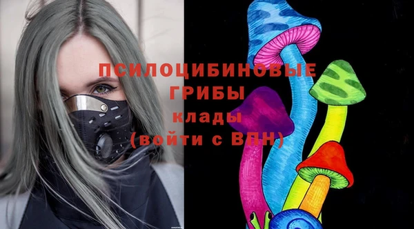 ешки Алексеевка
