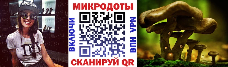 Псилоцибиновые грибы ЛСД закладка Алдан